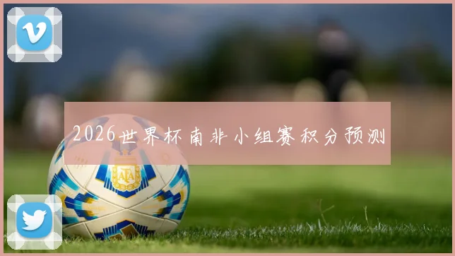 2026世界杯南非小组赛积分预测