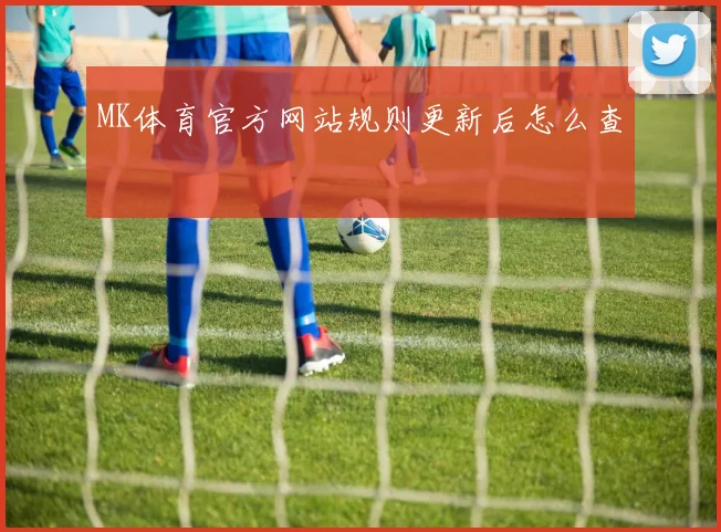 MK体育官方网站规则更新后怎么查
