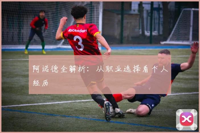 阿诺德全解析：从职业选择看个人经历