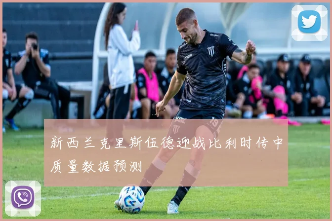 新西兰克里斯伍德迎战比利时传中质量数据预测