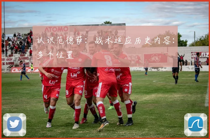 认识范德萨：战术适应历史内容：多个位置